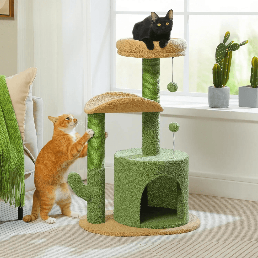 kratzbaum für große katzen
