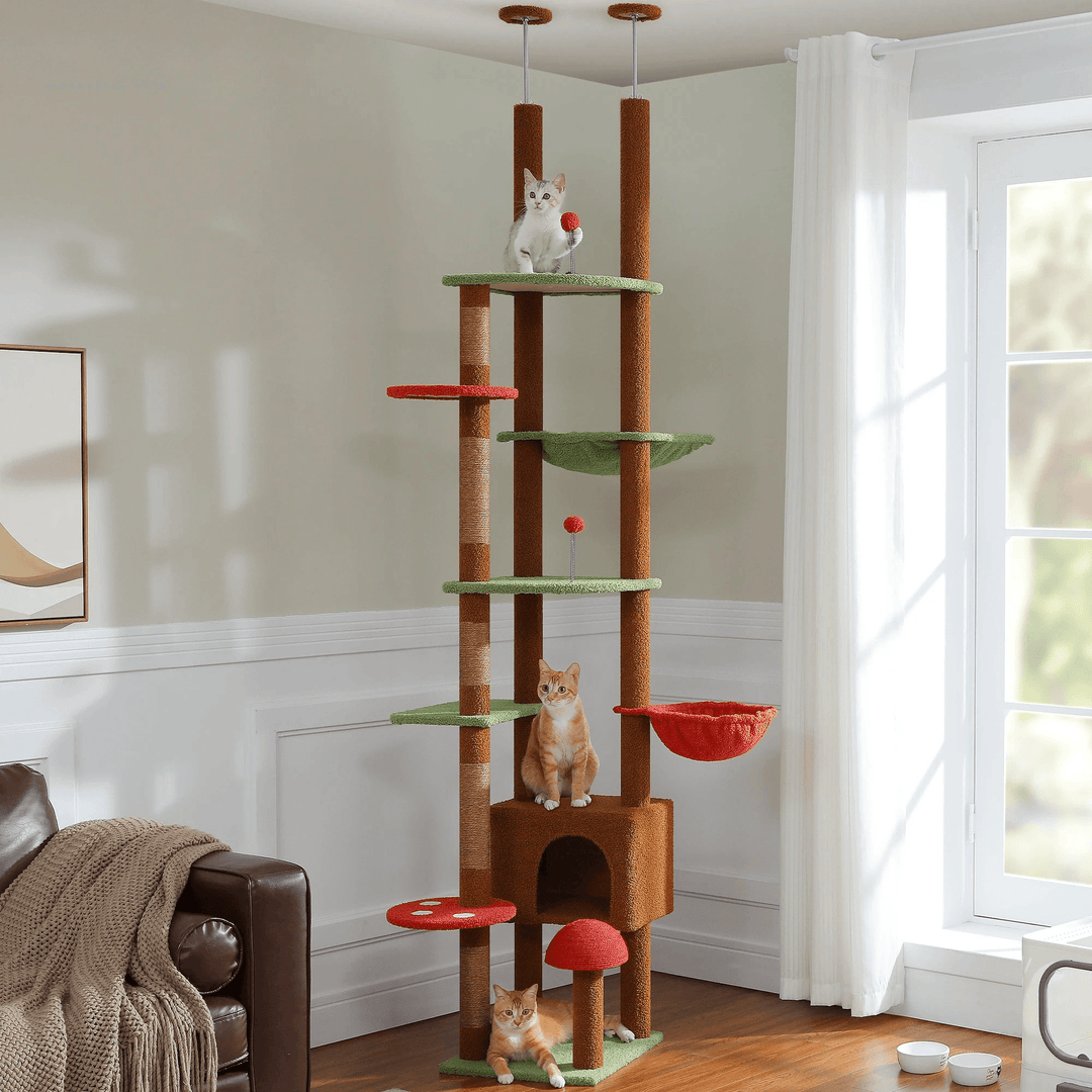 kratzbaum katze​

kratzbaum große katzen​

kratzbaum für katzen​

Kratzbaum für Katzen mit Sisalball

kratzbaum für große katzen​

kratzbaum

katzen kratzbaum​