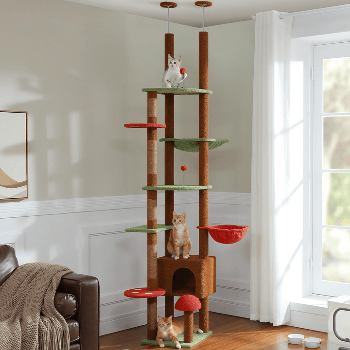 kratzbaum katze​

kratzbaum große katzen​

kratzbaum für katzen​

Kratzbaum für Katzen mit Sisalball

kratzbaum für große katzen​

kratzbaum

katzen kratzbaum​