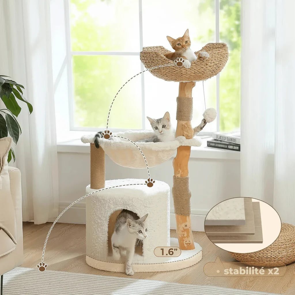 fressnapf kratzbaum​
kratzbaum katze​
fressnapf kratzbaum​
katzen kratzbaum​





