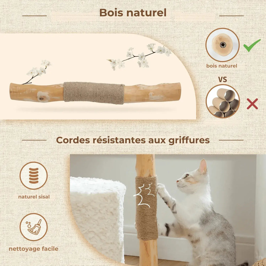 fressnapf kratzbaum​
kratzbaum katze​
fressnapf kratzbaum​
katzen kratzbaum​