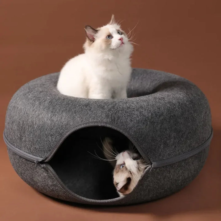 Katze erkundet Katzentunnel – ideales Spielzeug für neugierige Samtpfoten
