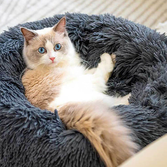 katzenbett, wolke 7 katzenbett , katzenkörbchen, kuscheliges katzenbett , katzensofa , betten für katzen, kuschelbett katze
