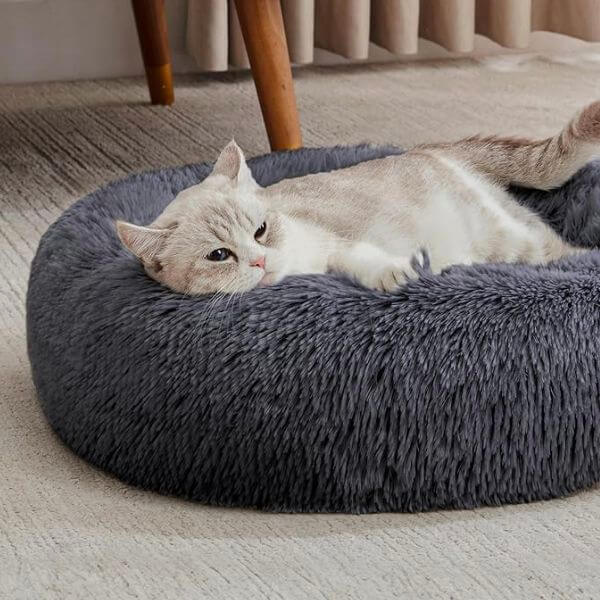 katzenbett, wolke 7 katzenbett , katzenkörbchen, kuscheliges katzenbett , katzensofa , betten für katzen, kuschelbett katze, katzenbett heizung​, fressnapf katzenbett​, kuschelbett katze wolke 7,  katzenbett wolke 7 erfahrungen, orthopädisches katzenbett, katzenbett heizung, katzenbett wolke 7 erfahrungen, katzenbett wolke 7 amazon

