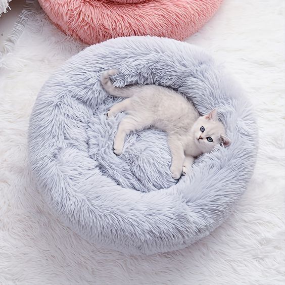 katzenbett, wolke 7 katzenbett , katzenkörbchen, kuscheliges katzenbett , katzensofa , betten für katzen, kuschelbett katze, katzenbett heizung​, fressnapf katzenbett​, kuschelbett katze wolke 7,  katzenbett wolke 7 erfahrungen, orthopädisches katzenbett, katzenbett heizung, katzenbett wolke 7 erfahrungen, katzenbett wolke 7 amazon
