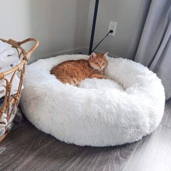 katzenbett, wolke 7 katzenbett , katzenkörbchen, kuscheliges katzenbett , katzensofa , betten für katzen, kuschelbett katze, katzenbett heizung​, fressnapf katzenbett​, kuschelbett katze wolke 7,  katzenbett wolke 7 erfahrungen, orthopädisches katzenbett, katzenbett heizung, katzenbett wolke 7 erfahrungen, katzenbett wolke 7 amazon
