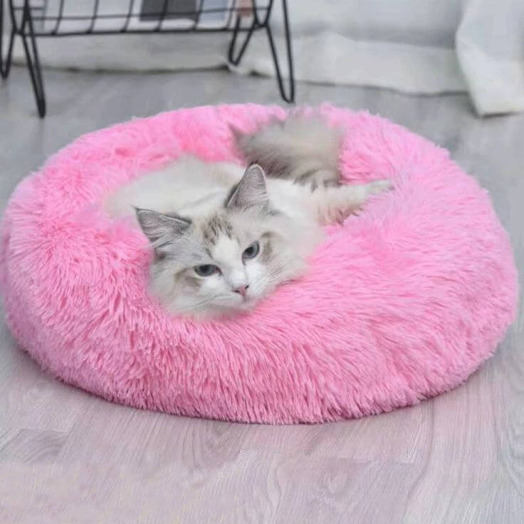 katzenbett, wolke 7 katzenbett , katzenkörbchen, kuscheliges katzenbett , katzensofa , betten für katzen, kuschelbett katze, katzenbett heizung​, fressnapf katzenbett​, kuschelbett katze wolke 7,  katzenbett wolke 7 erfahrungen, orthopädisches katzenbett, katzenbett heizung, katzenbett wolke 7 erfahrungen, katzenbett wolke 7 amazon
